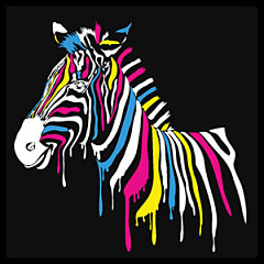 Pop Art Fototapety - Zebra 4536 - vliesová